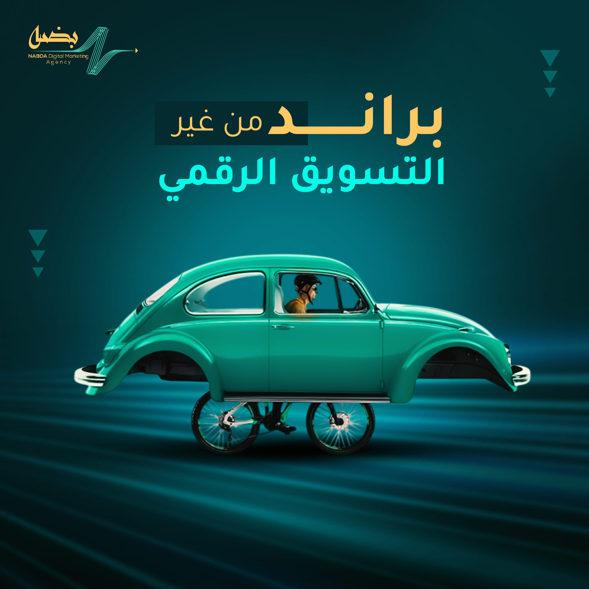 صورة 3